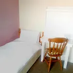 Avondale Accommodation