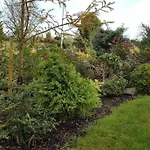 Josh\'S Cottage