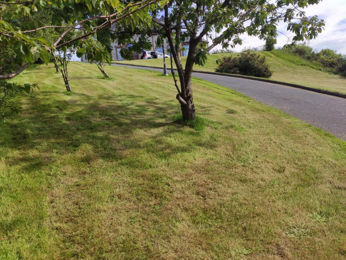 Bed & Breakfast Ballylawn Letterkenny