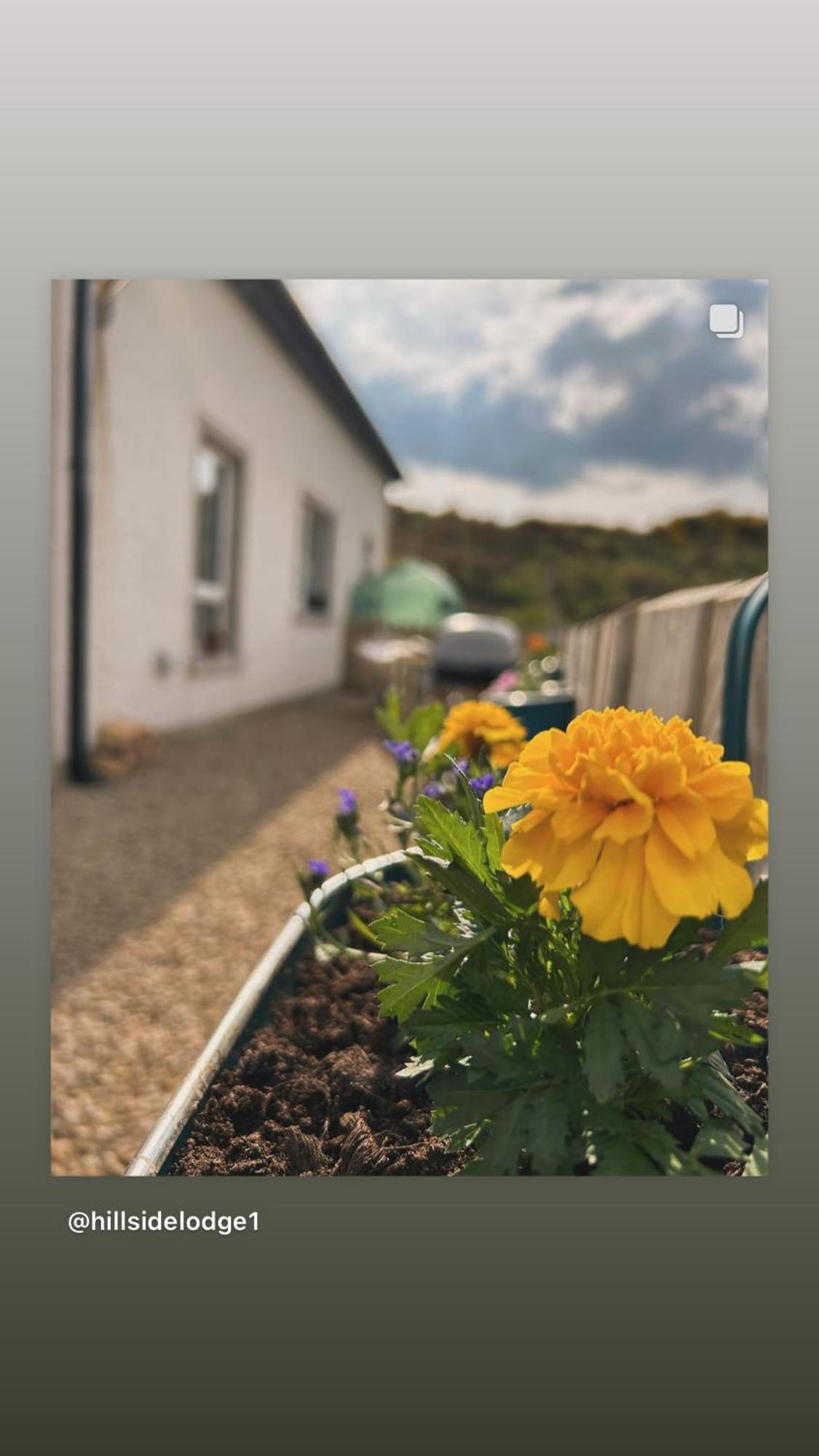 Hillside * Letterkenny