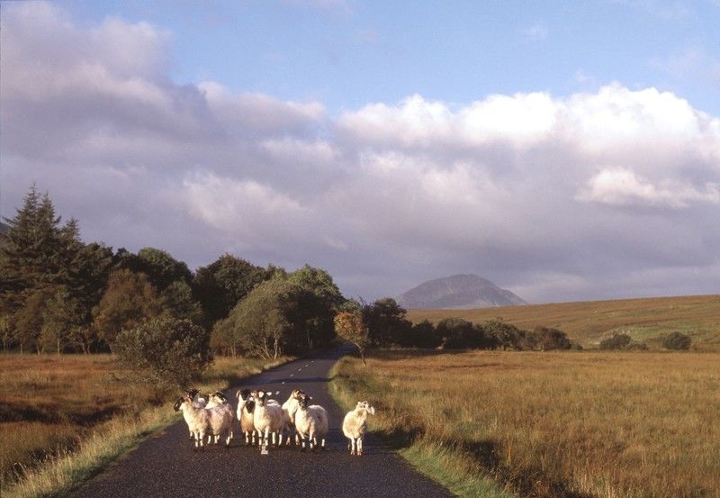Hotel Mount Errigal Hotel, Conference & Leisure Centre Letterkenny